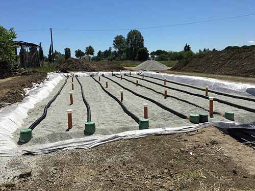 Vertical Phytopurification